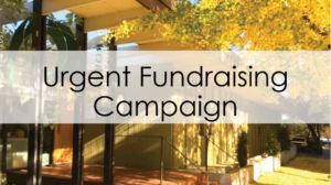 Urgent Fundraising Campaign